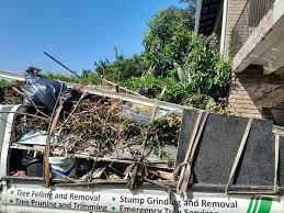 Best Recycling Services for Junk  in Carbon Hill, AL