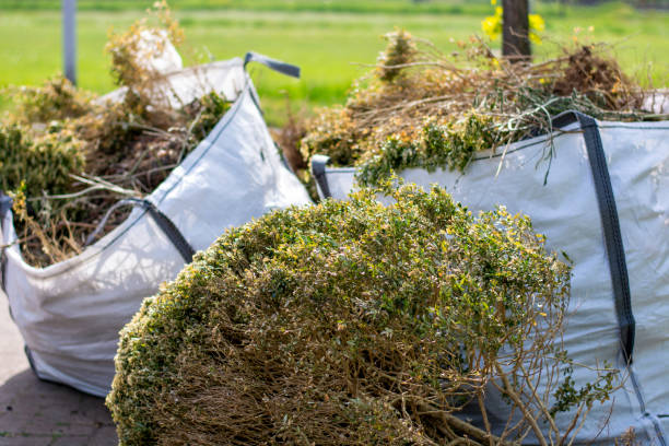 Best Residential Junk Removal  in Carbon Hill, AL