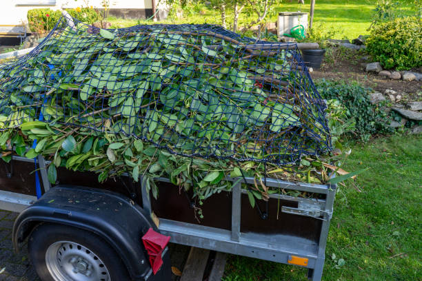 Best Junk Removal for Events  in Carbon Hill, AL